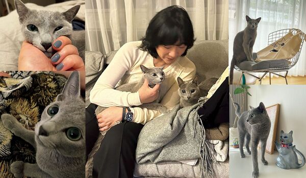 「uka」代表・ネイリストの渡邉季穂さんとロシアンブルーのボーテくん＆PJWくんとの物語【愛猫と共に生きるということ】