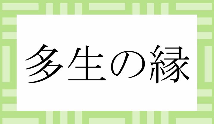 「○○○○の○○」。