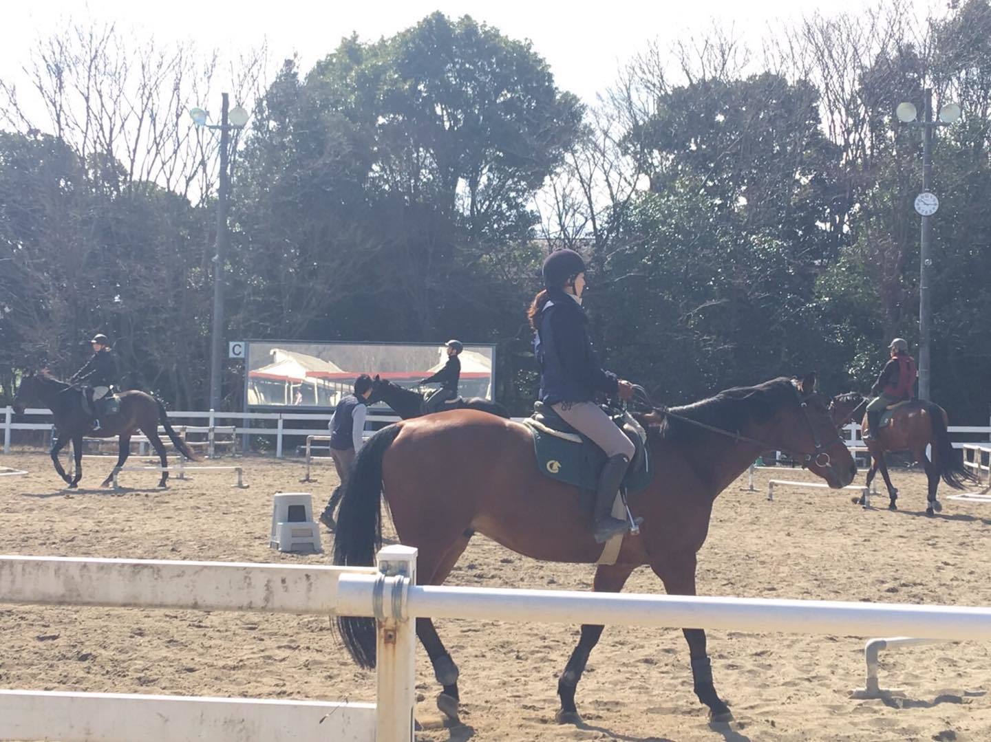 乗馬クラブのレッスン風景