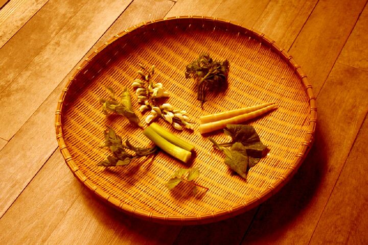 山菜一例