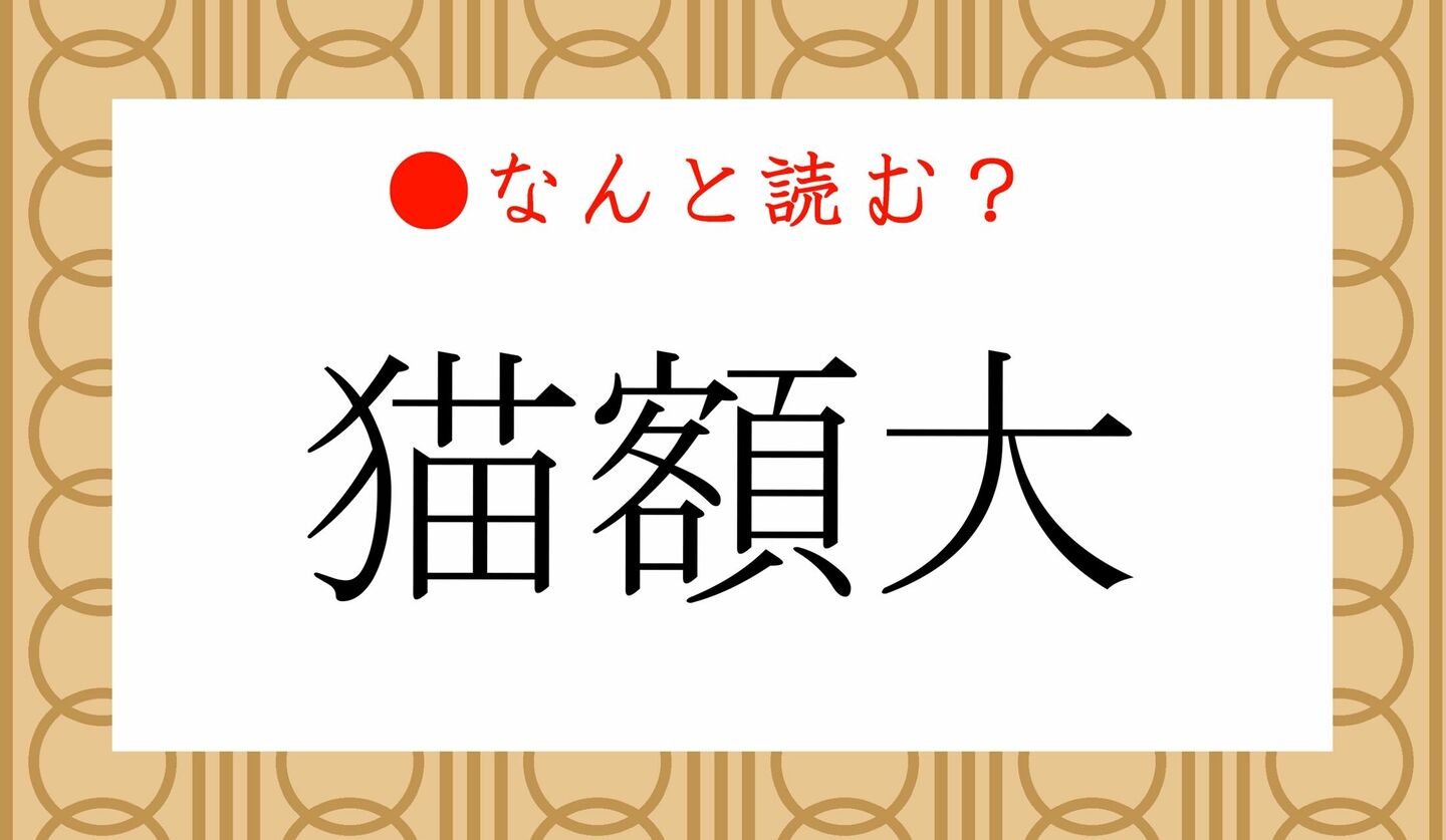 日本語クイズ　出題画像　難読漢字　「猫額大」なんと読む？