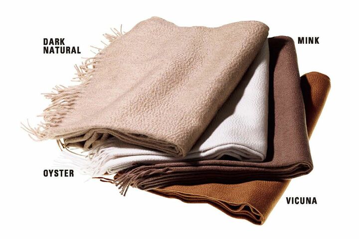 ストール「Arran」［素材：カシミヤ、サイズ：縦73×横183cm］各￥69,000（ボーダレス〈ベグ アンド コー〉）　[Precious2018年10月号98ページ] 