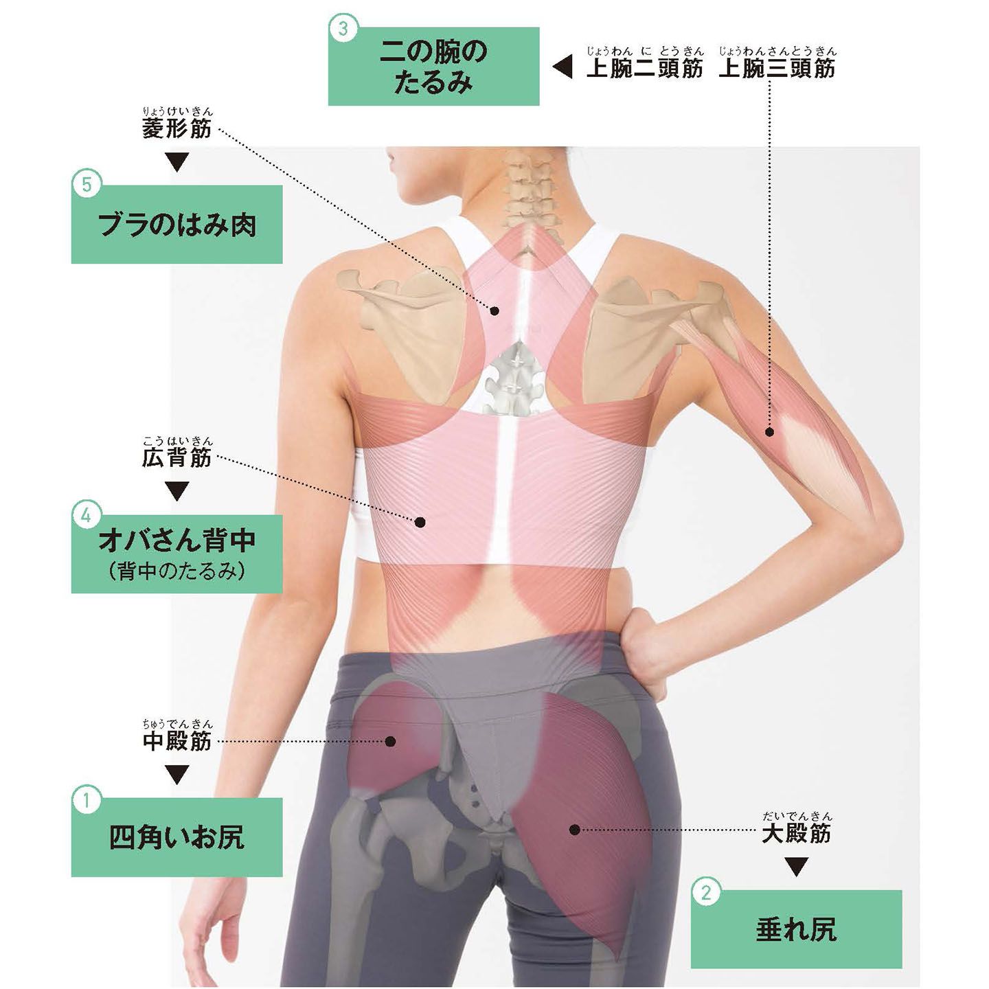 ■プロ直伝の「筋肉に直接アプローチするたるみケア」
