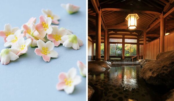 【今週のおすすめお出かけ記事】小さな桜の銘菓「和菓子 悠」の落雁や、温泉ジャーナリストの推し宿「文化財の宿 新井旅館」など３選