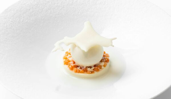 「函館」へと誘う美⾷の旅！「アルマーニ / リストランテ」の期間限定メニュー【実食レポート】