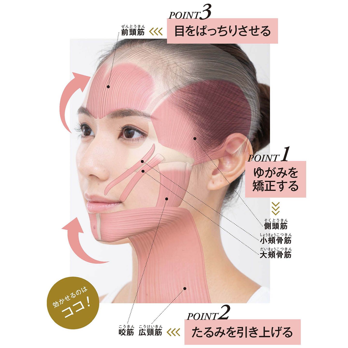 効かせるのはココ!