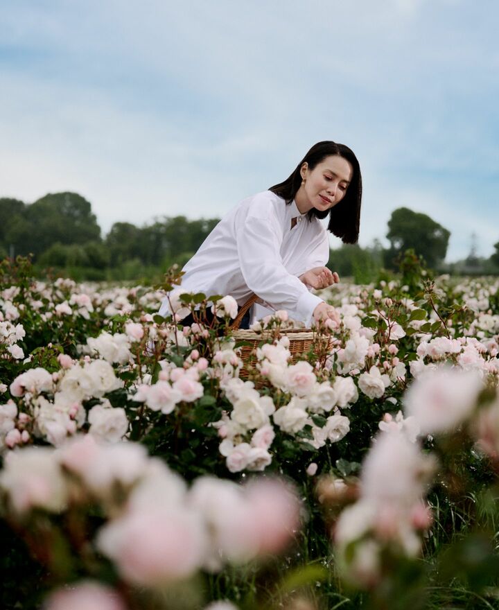 中谷美紀