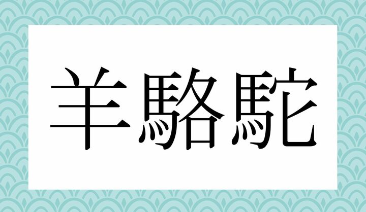カタカナ4文字！