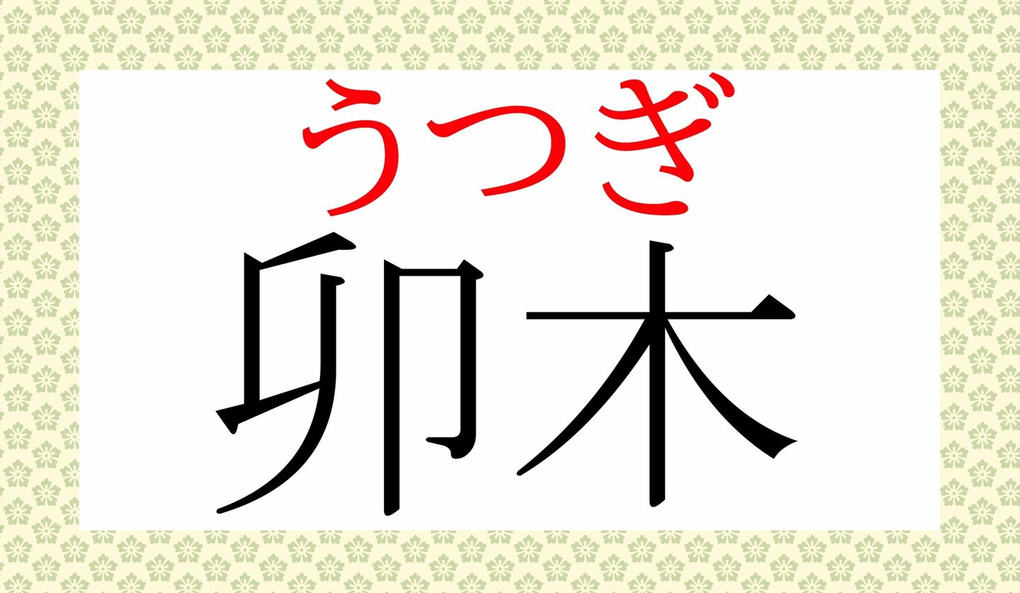 「うぎ」ではありません!とってもきれいな「卯木」…なんと読む? | Precious.jp(プレシャス)