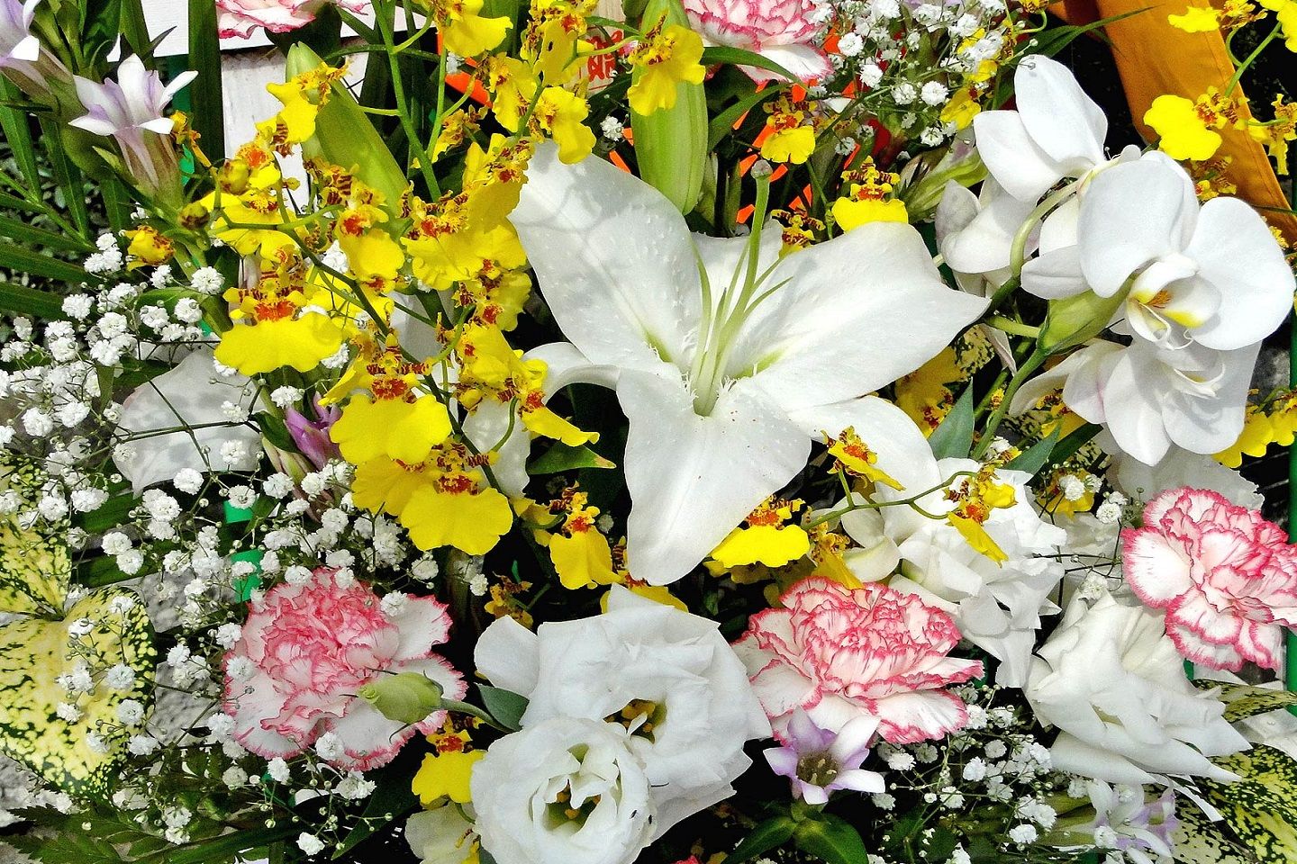 日本と海外では花の文化も違う?