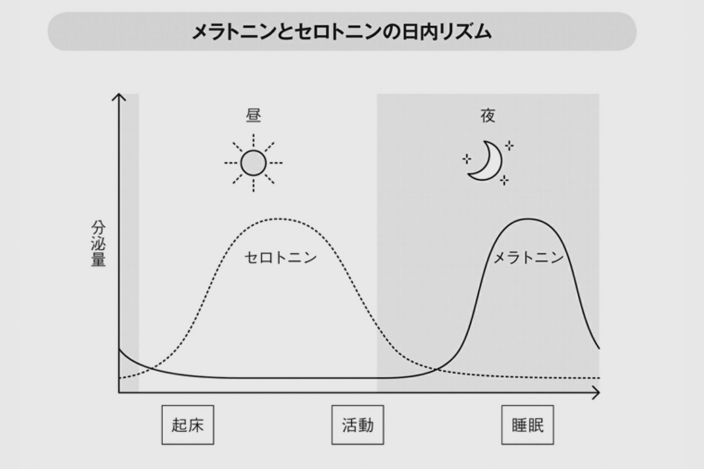 メラトニンとセロトニンの日内リズム セロトニンが合成された時間から約14〜15時間が経つと、今度は睡眠を司るメラトニンの生成がスタート。だいたい夕方から分泌され、入眠前に活発に。両者が入れ替わるように機能している。図解:『脳内物質仕事術』(マガジンハウス)より