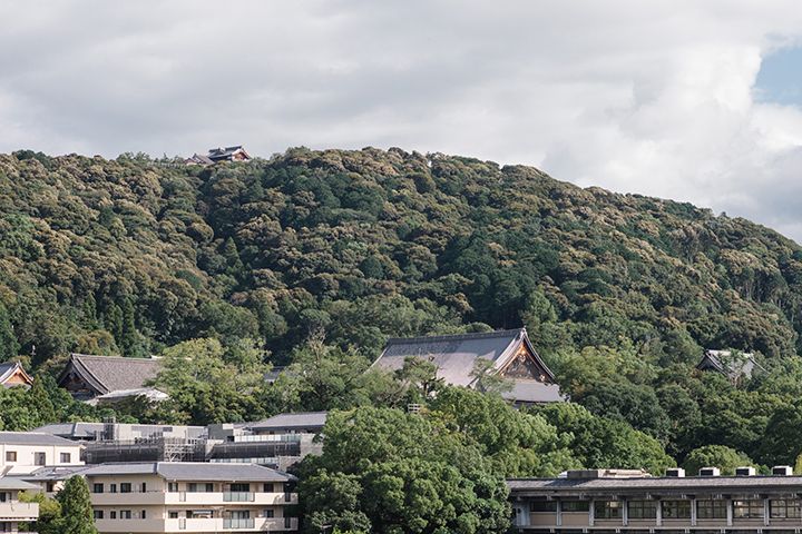ルーフトップからの眺め。東側には東山が広がり、北向きには平安神宮の大鳥居を望める。