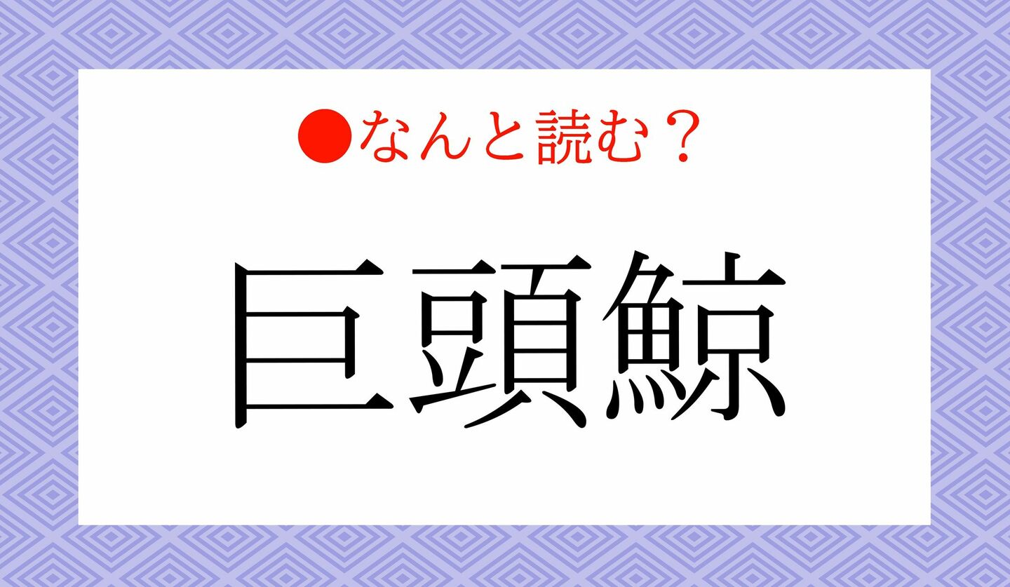 日本語クイズ　出題画像　難読漢字　「巨頭鯨」なんと読む？