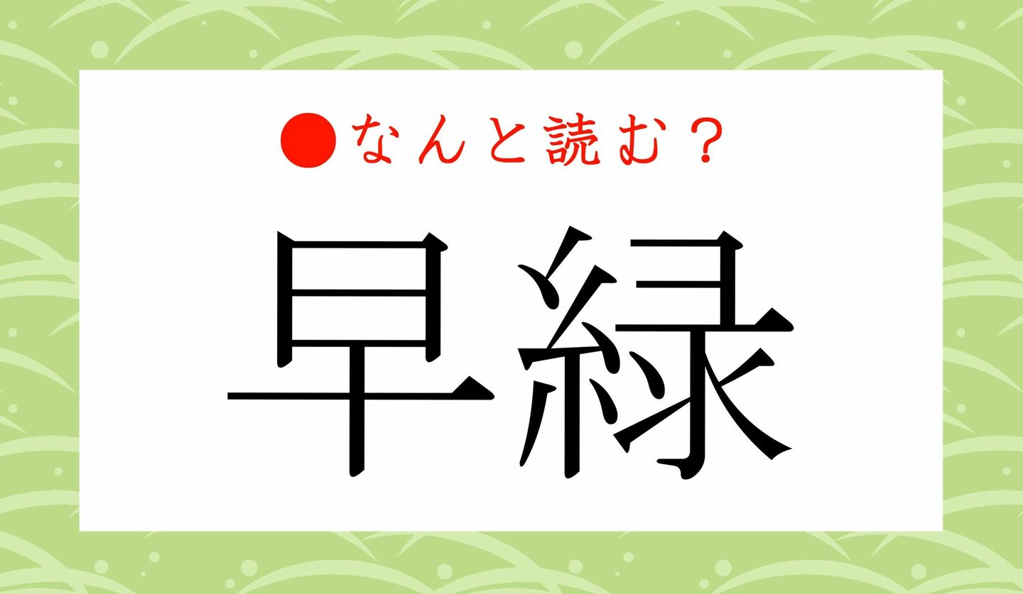 日本語クイズ　出題画像　難読漢字　「早緑」なんと読む？