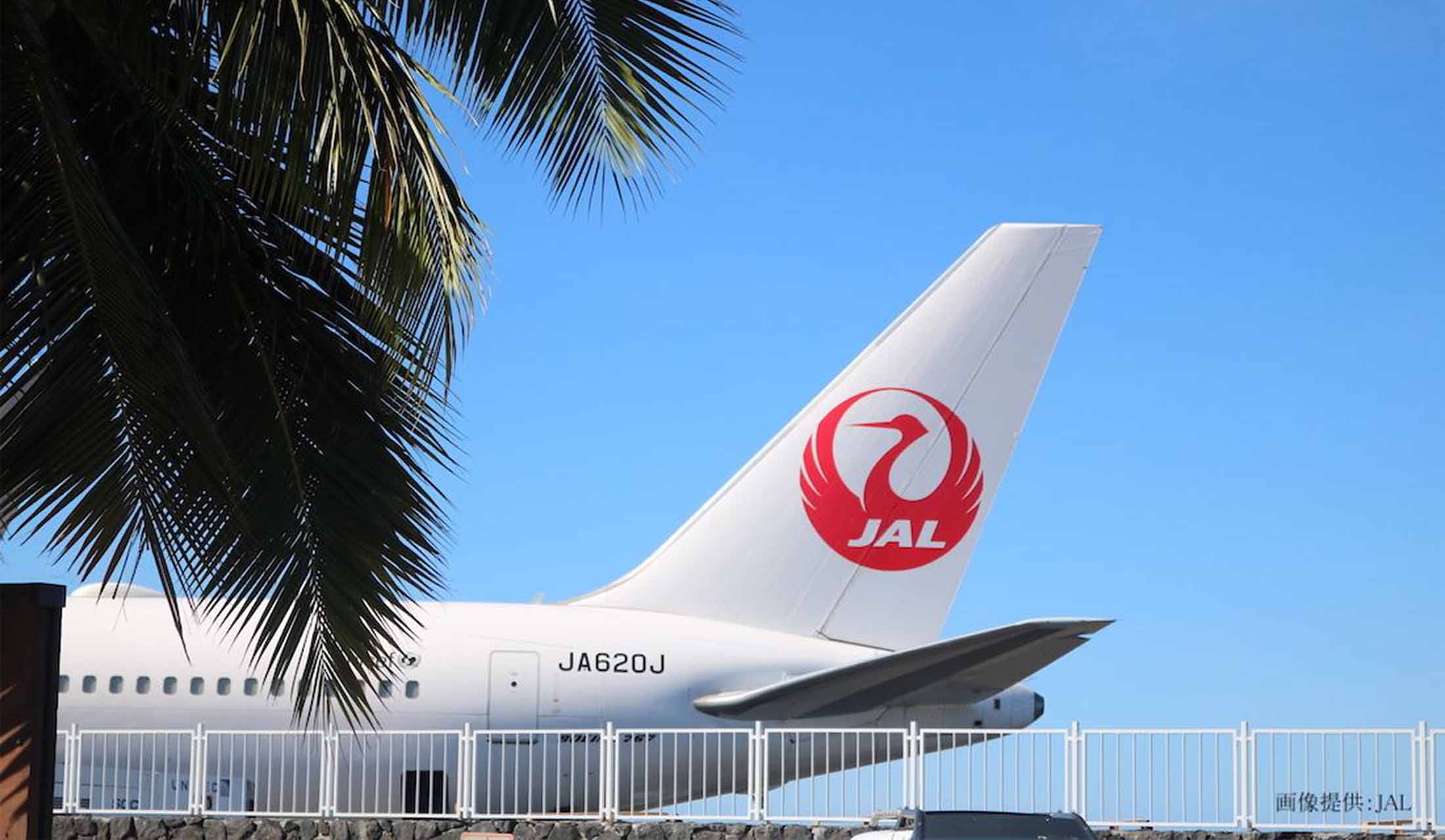 JALの飛行機垂直尾翼