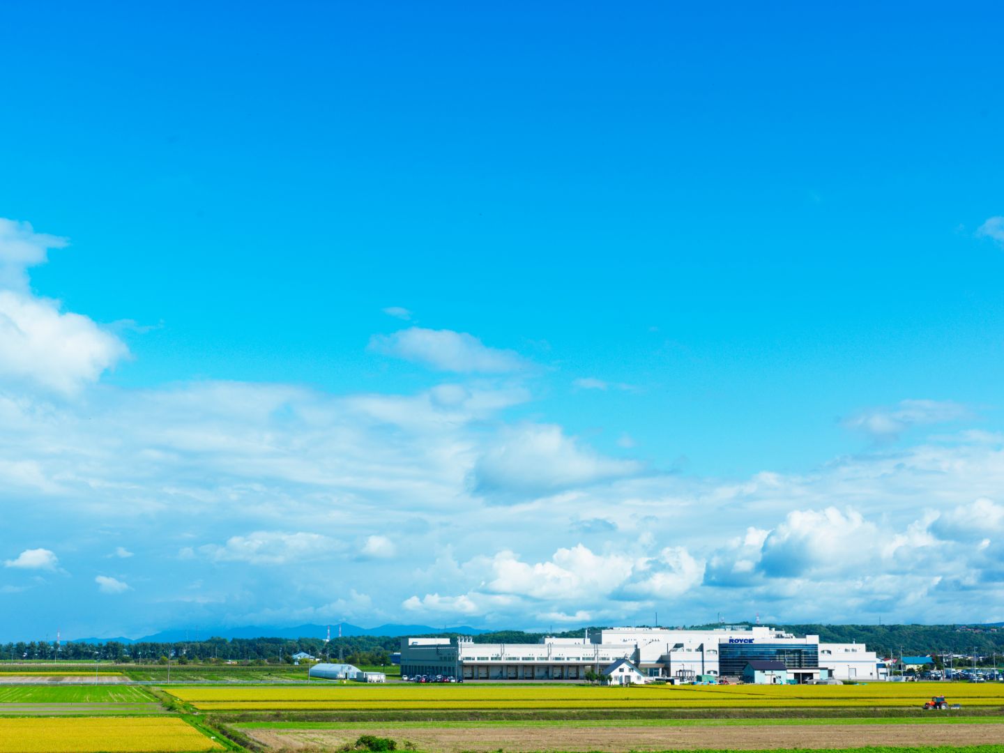 スイーツ_1,北海道_1,手土産_1,チョコレート_1
