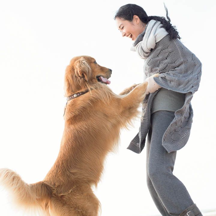 [Precious11月号 62ページ] 撮影／浅井佳代子
オフタートルのカシミヤニットポンチョ￥132,000・ウールカシミヤのリブマフラー￥40,000（ストラスブルゴ〈クルチアーニ 銀座店〉）、カシミヤニット￥94,000（ウールン商会〈ファビアナ フィリッピ〉）、ニットパンツ￥29,000（アノア〈リビアナ・コンティ〉）、ニットグローブ￥19,000（edit & co.〈YURI PARK CAPO COMPLETO〉）、ブーツ￥86,000（プレインピープル丸の内〈フリーランス〉）