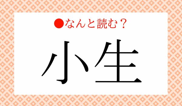 「こせい」ではありません！「小生」ってなんと読む？