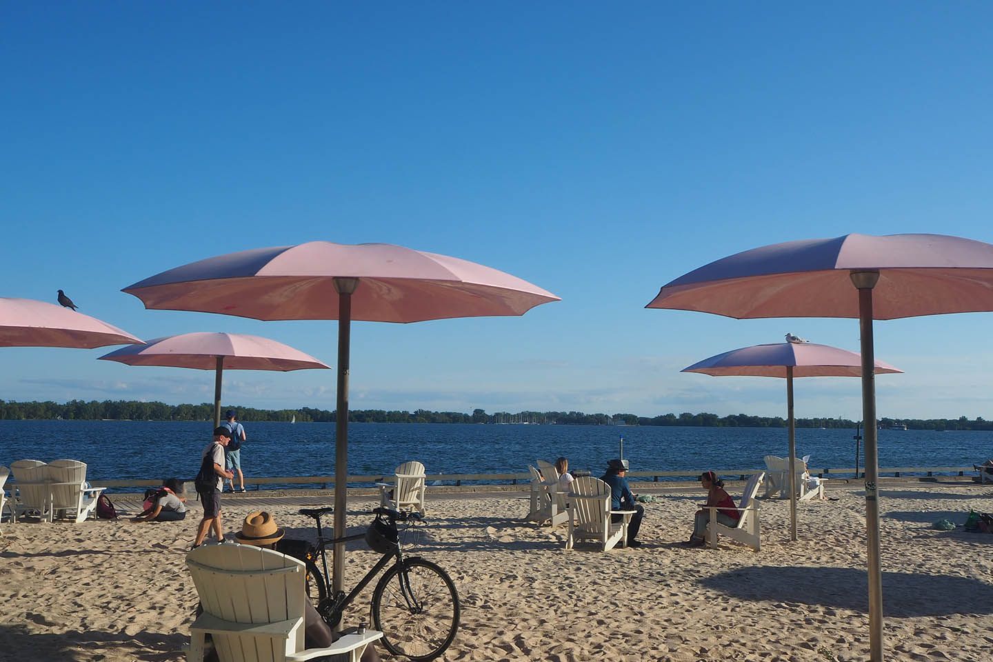 「Suger Beach」の名前の由来は、近くに砂糖工場があるから。