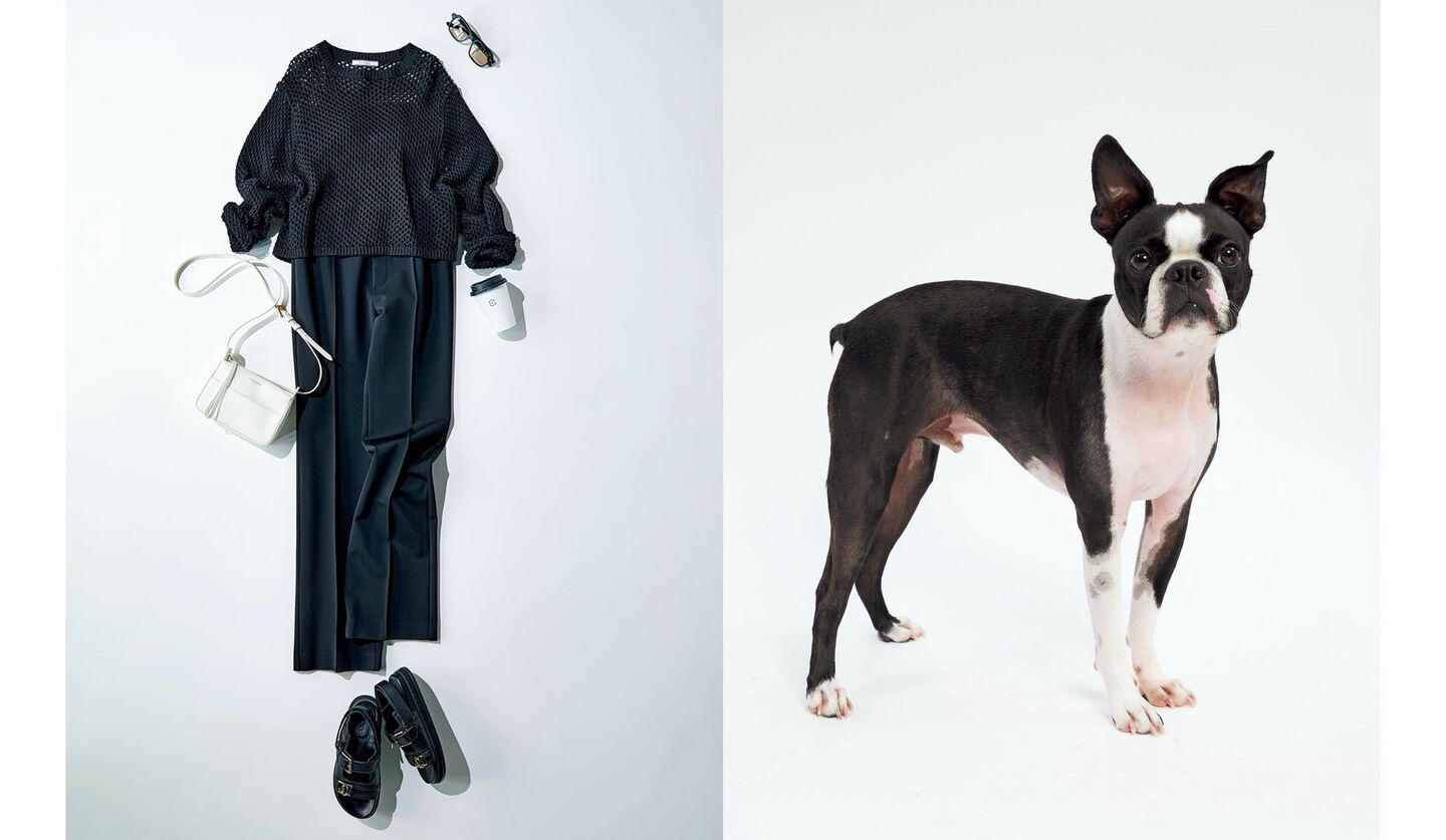 黒でまとめたニット＆パンツスタイルと、犬の「ボストンテリア」