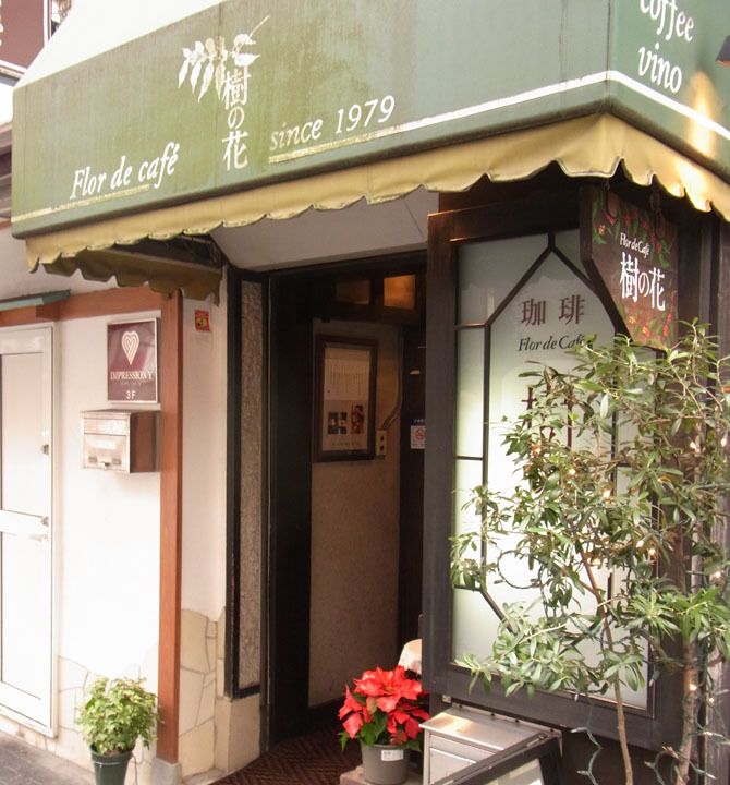 Flor de café 樹の花の外観