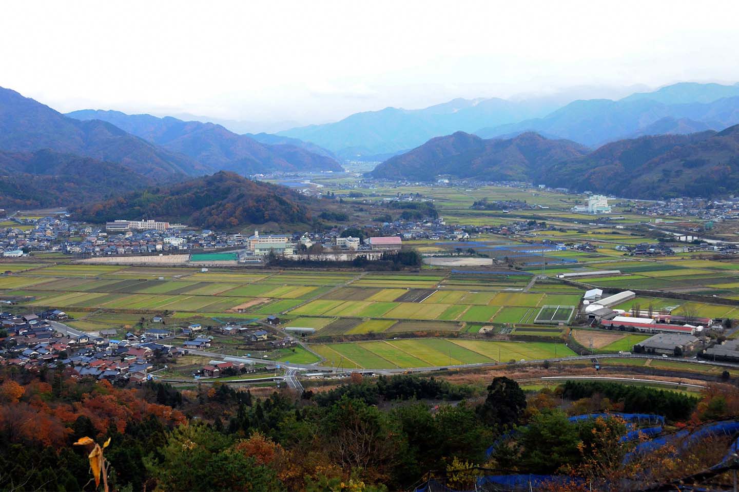 鳥取県八頭町