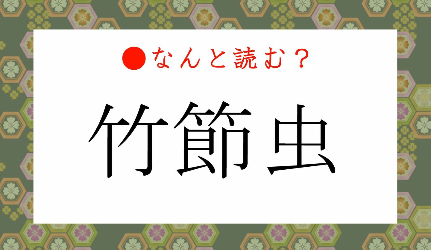 日本語クイズ　出題画像　難読漢字　「竹節虫」なんと読む？