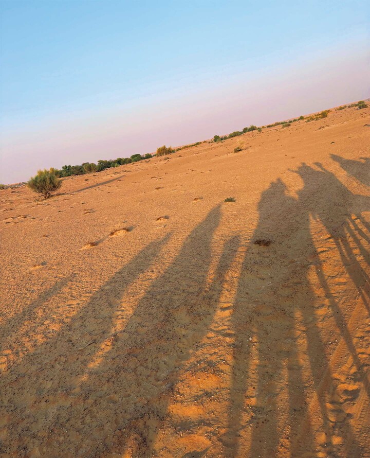俳優の鈴木保奈美さんが撮影した写真