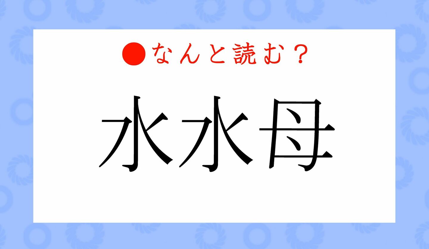 日本語クイズ　出題画像　難読漢字　「水水母」なんと読む？