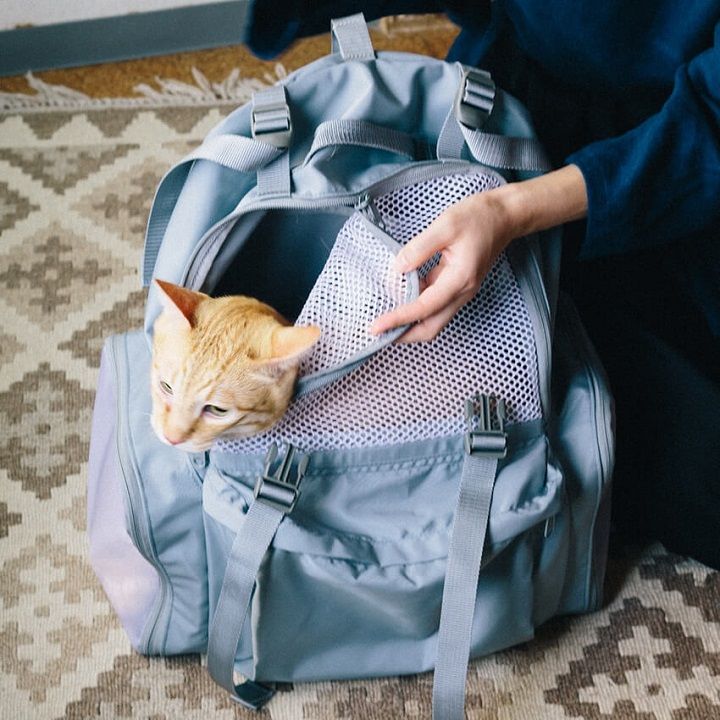 販売価格¥22,000 カラー展開:グレー、白 ※ミツカルストア限定商品