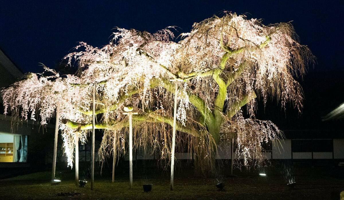 img_f38d0aa6087c674c3d5da58668