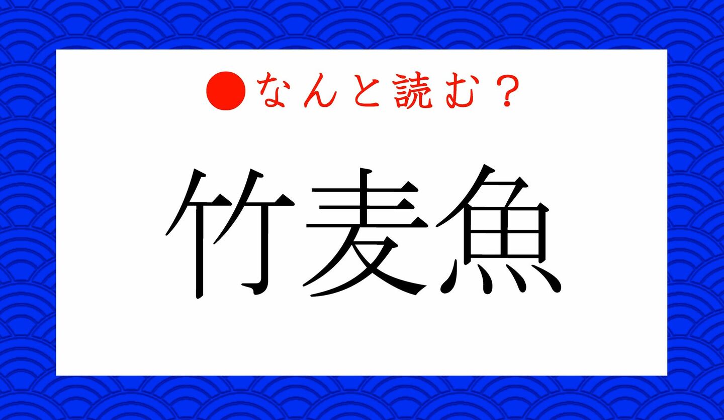 日本語クイズ　出題画像　難読漢字　「竹麦魚」なんと読む？