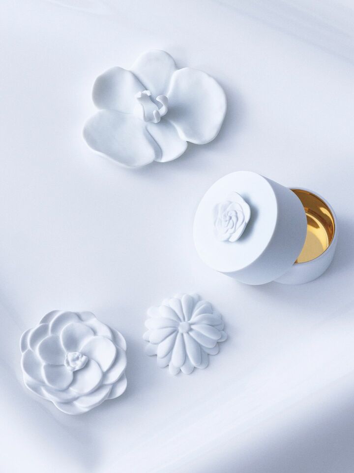 ベルナルドの磁器『ジャルダン・ド・ターブル』 