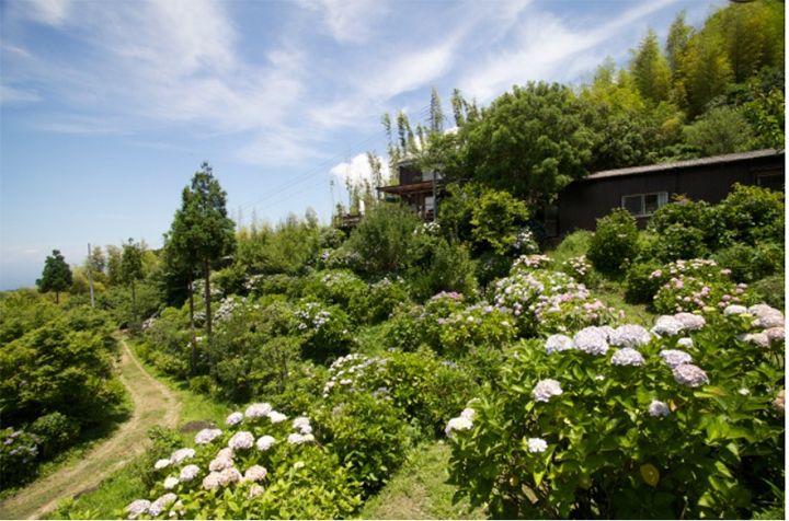 「あわじ花の歳時記園」(兵庫県淡路市)
