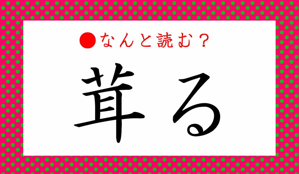 茸る ってなんと読む きのこる ではないですよ きのこ以外にも使う言葉です Precious Jp プレシャス