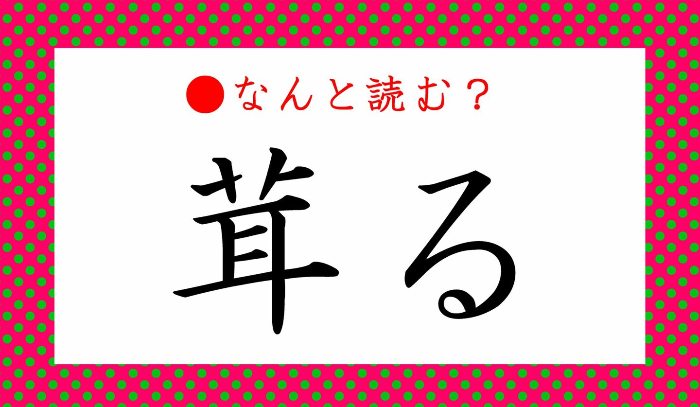 日本語クイズ　出題画像　難読漢字　「茸る」なんと読む？