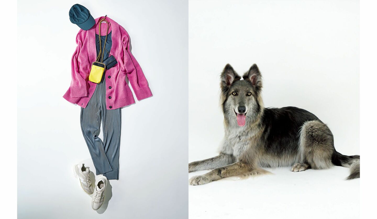 きれい色を取り入れた散歩スタイルと、犬の「ウルフドッグ」