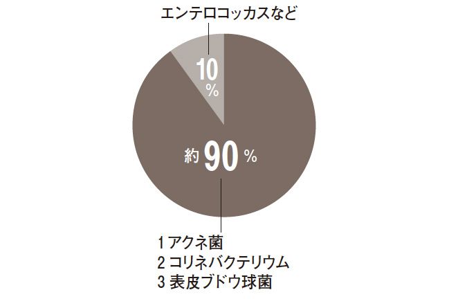 頭皮フローラの約90%を占めるのは、肌の常在菌としてもおなじみのアクネ菌や表皮ブドウ球菌とコリネバクテリウムの3種。そのほかの10%に含まれる細菌のなかに老化菌であるエンテロコッカスがあり、まだほかの菌と頭皮の関係は解明されていない。