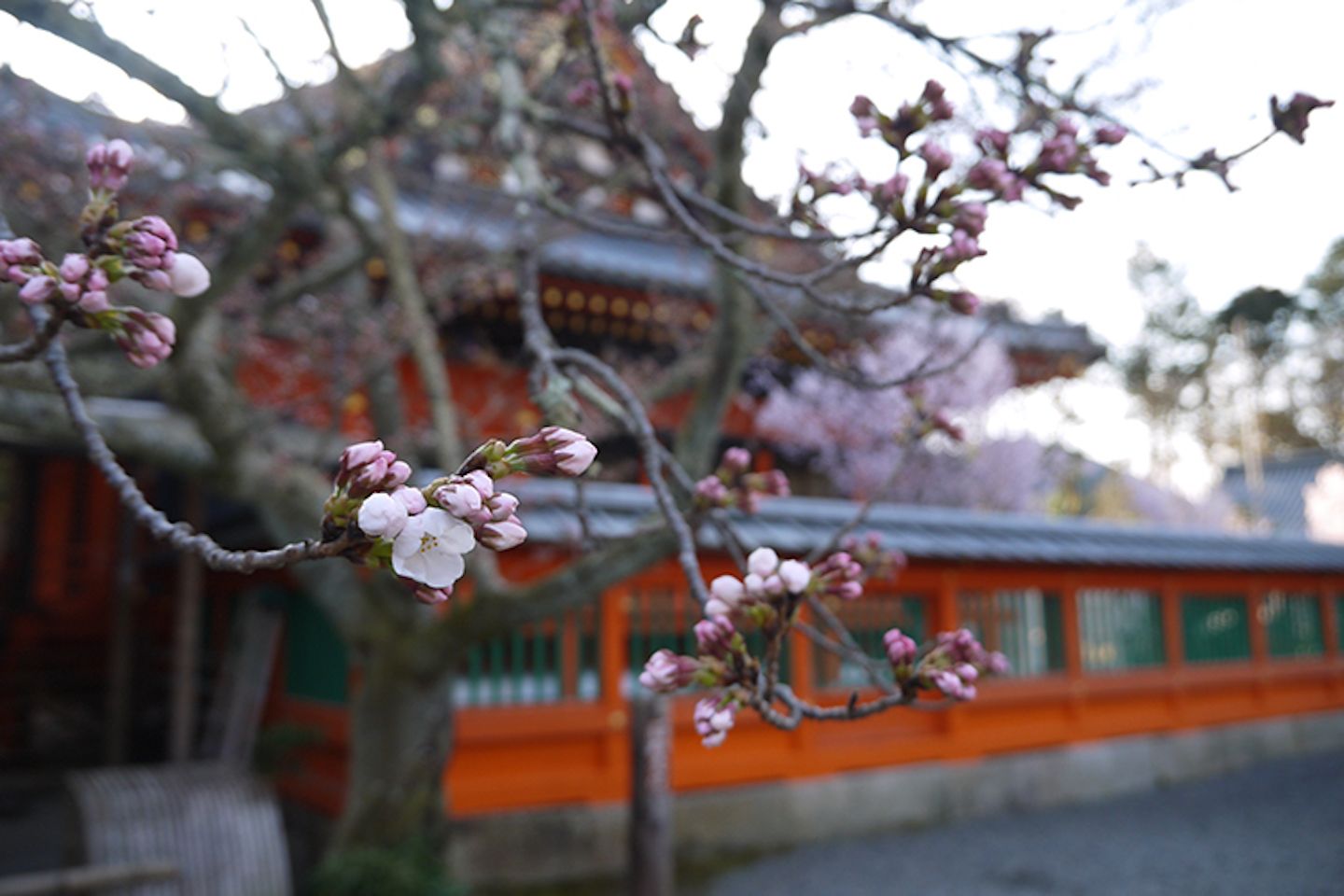 京都_1,ホテル_1,絶景_1,国内旅行_1