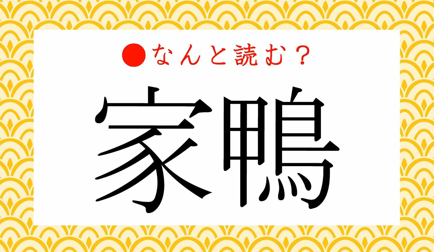 日本語クイズ　出題画像　難読漢字　「家鴨」なんと読む？