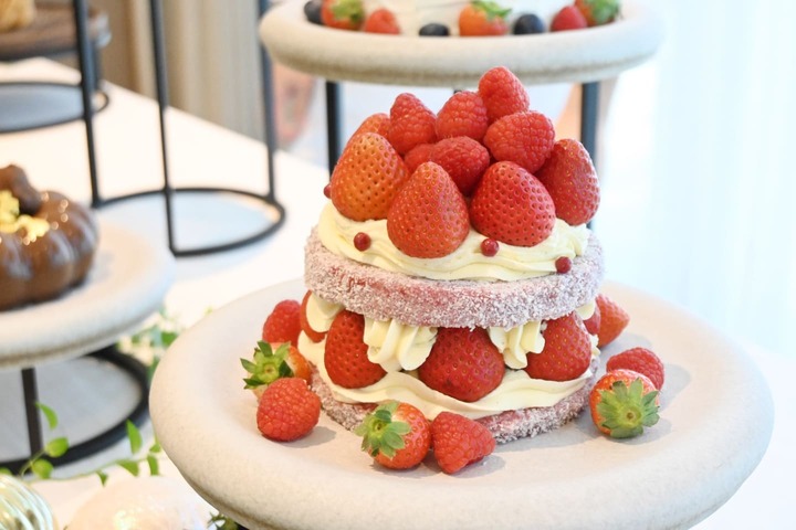 クリスマスケーキ_3,いちご_3,チョコレート_3,ホテル_3,東京_3
