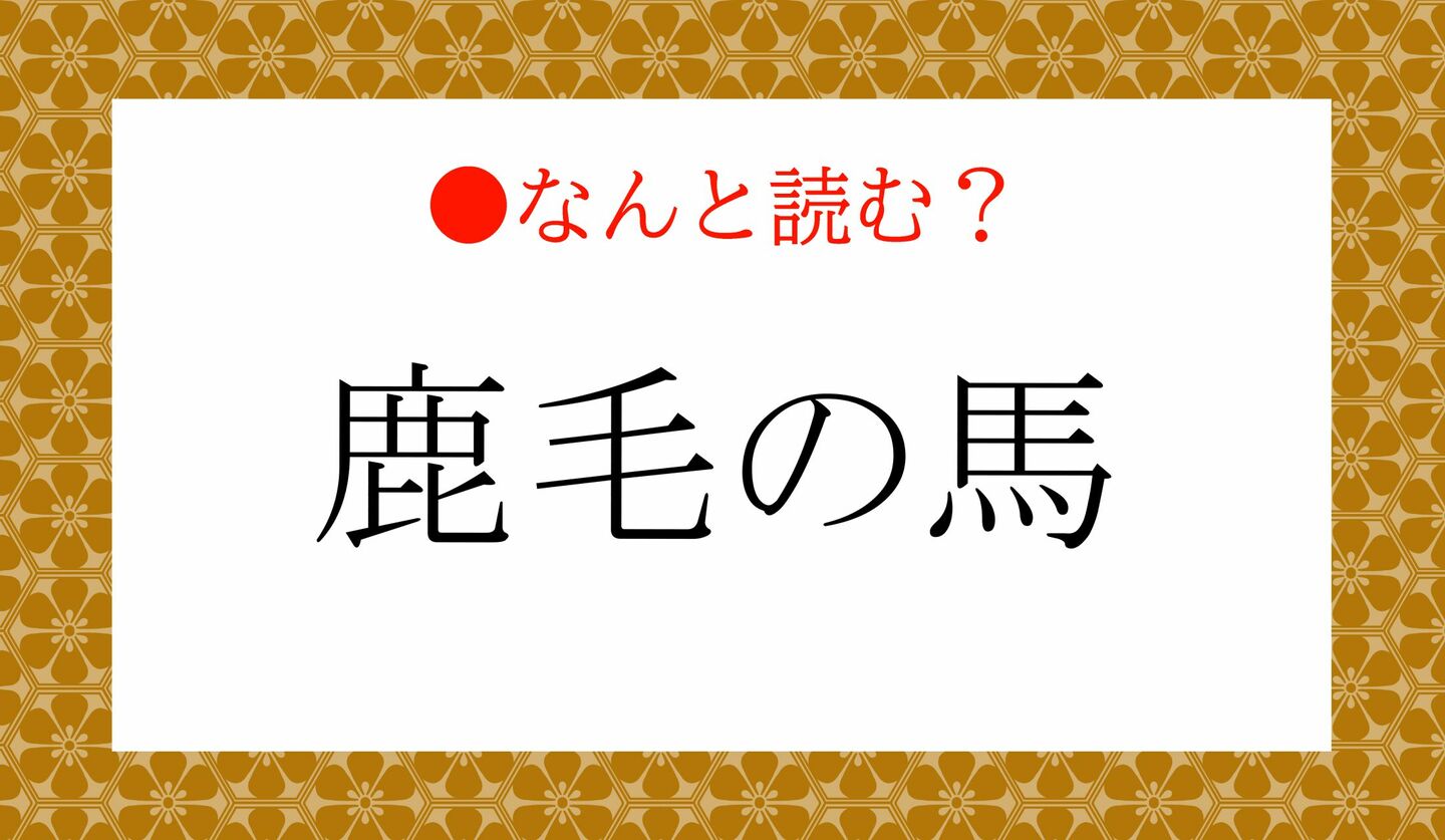 日本語クイズ 出題画像 難読漢字 「鹿毛の馬」なんと読む?
