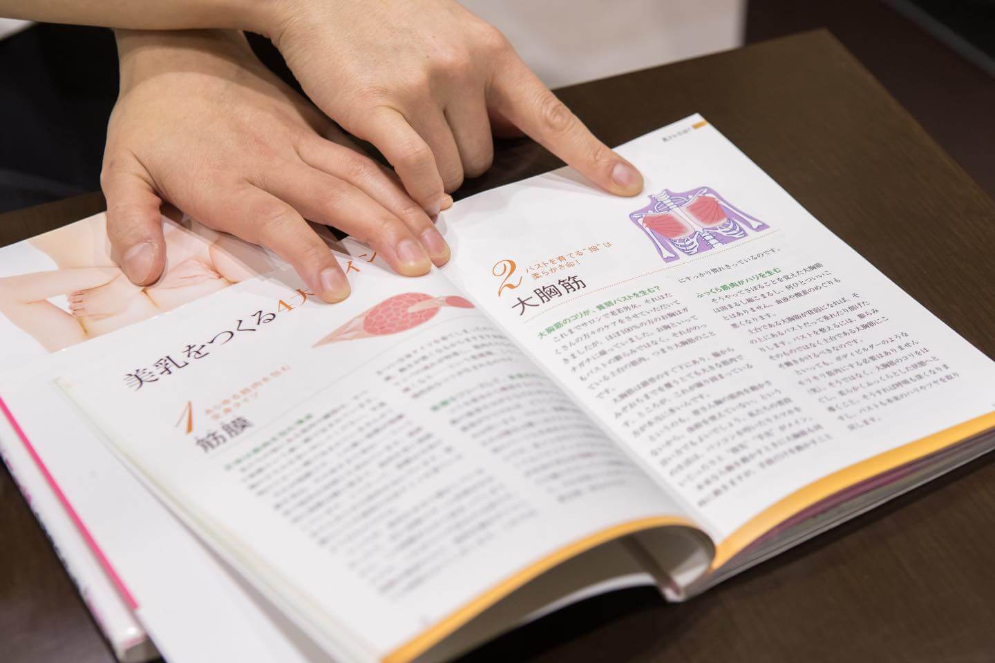 大胸筋に関する説明の様子