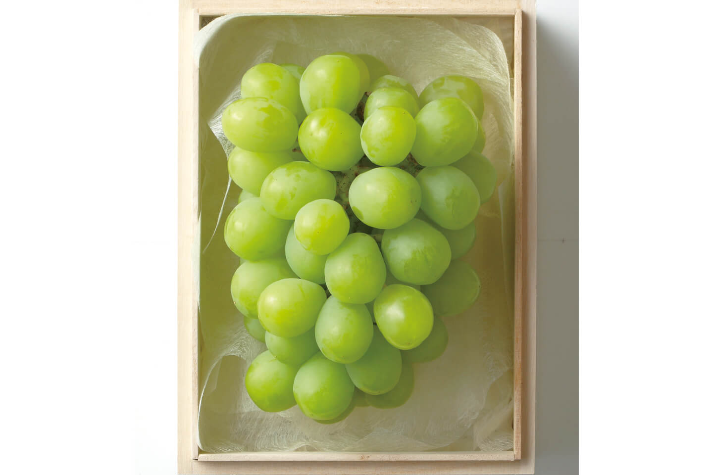 マスカット オブ アレキサンドリア 1房(約500g) 桐箱入 ¥8,640(税込)