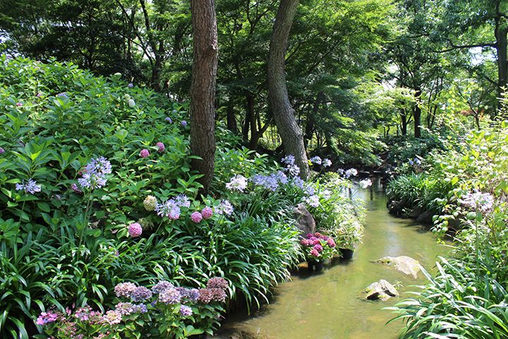 「大阪市長居植物園」(大阪府大阪市)