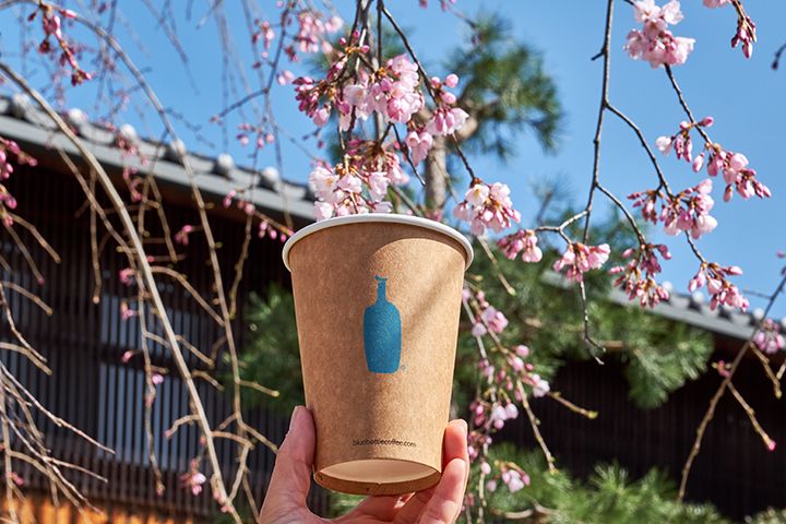 紙のカップにもエコ素材が使用されている。店内でのコーヒータイムはマグカップでゆったり過ごすのも◎