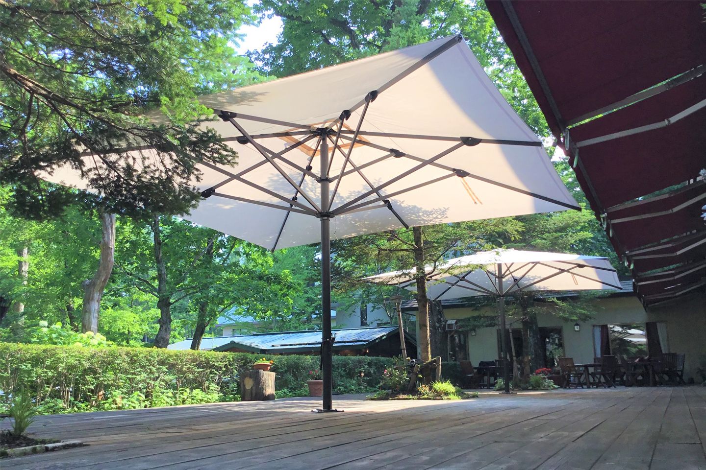 長野・白馬のリゾートホテル。緑の中でも柔らかな空間を演出してくれます(提供:スコラロジャパン)