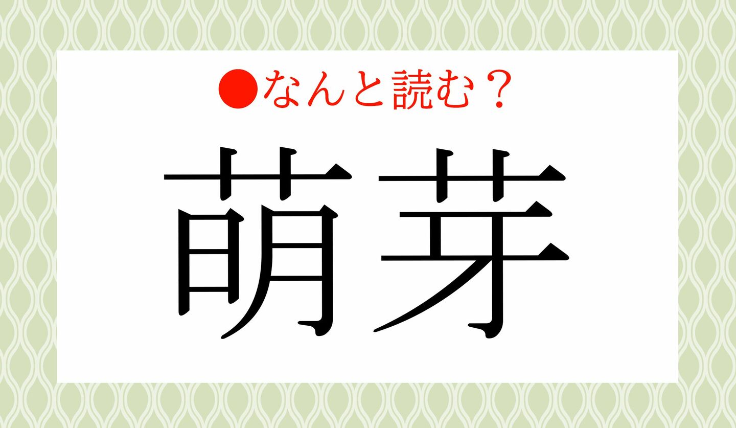 日本語クイズ　出題画像　難読漢字　「萌芽」なんと読む？