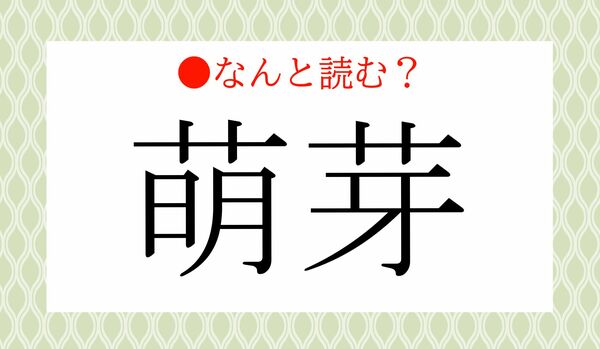 「もえめ」ではありません！「萌芽」ってなんと読む？