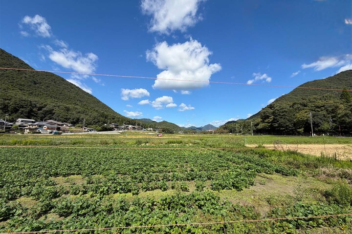 鈴木美恵さんが撮影した黒豆畑
